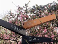 -兰溪青年公园