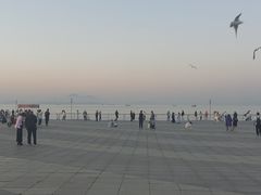-东港音乐喷泉广场