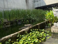 -中国湿地博物馆