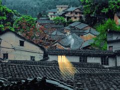 -杨家堂村