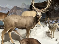 -陕西自然博物馆