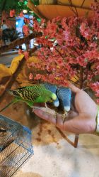 -酷嗒动物文化乐园(cutezoo西溪乐天城店)