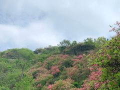 -木兰云雾山