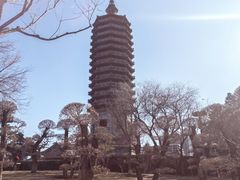 -西海子公园