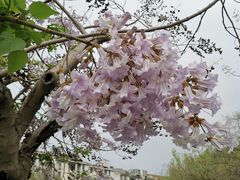 -长兴太湖图影湿地文化园