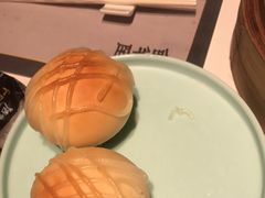 -新兴·金羊座·粤菜点心(乐峰店)