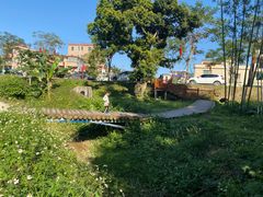 -黄埔油麻山森林公园