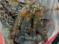 -阳江餐厅·30年老字号·粤菜海鲜大排档