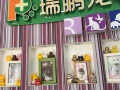 -瑞鹏·疫苗·绝育·宠物医院(金沙洲店)
