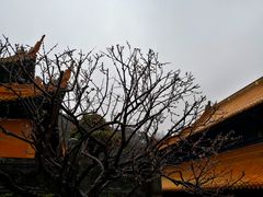 -普陀山风景名胜区-法雨禅寺