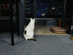 -青沐画室·专业美术培训