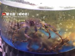 -蟹之国·精品蟹料理(极地店)