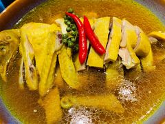 -老板恋上鱼(恒隆广场店)