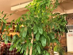 -慢丽江·云南野生菌土鸡锅(付家庄店)