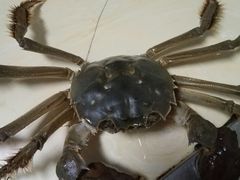 -胖哥俩肉蟹煲(宿迁宝龙广场店)