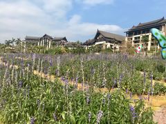 -清远熹乐谷温泉度假酒店