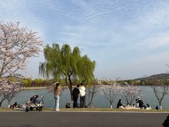 -羊山湖公园