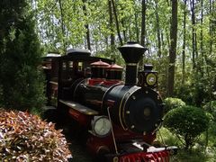 -合肥滨湖国家森林公园