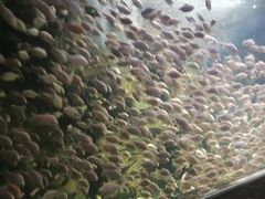 -临沂极地海洋王国