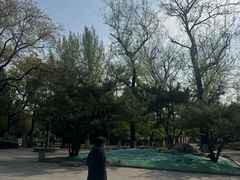 -宣武艺园