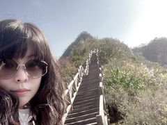 -大岭沟猕猴桃谷风景区