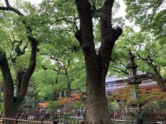 -普陀山风景名胜区-法雨禅寺