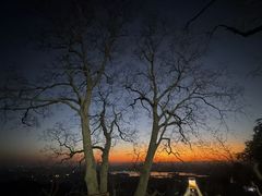-灵顺寺
