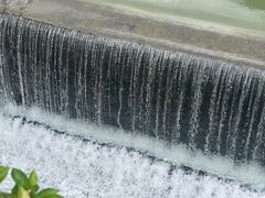 -广州白江湖森林公园