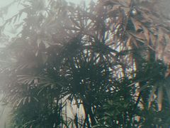-仁爱团泊湖温泉中心