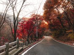 -三块石国家森林公园