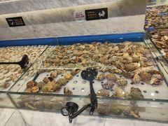 -川骄海鲜自助(河东店)