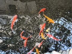 -茶米人台湾料理·精致快简餐