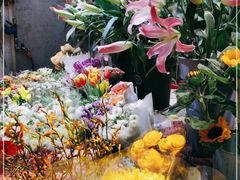 -三旗百汇商品城