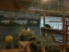 -西安秦岭野生动物园