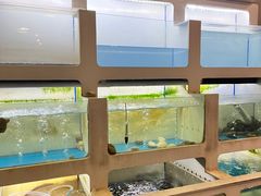 -质烤烤物·活烤海鲜(质烤总店)