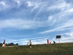 -中山市树木园