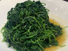 -骏莱海鲜鱼港(五角场店)