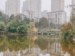 -龙头寺公园