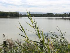 -野鸭湖国家湿地公园