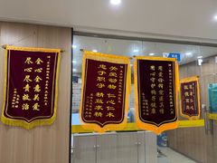 -米苏动物医院·犬猫专科·骨科外科内窥镜