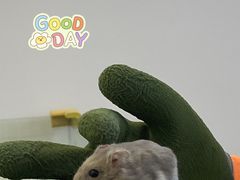 -怪兽屋·羊驼·猫咖·狗咖(俊华广场店)