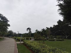 -万绿园