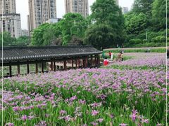 -龙头寺公园