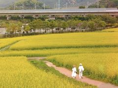 -光明小镇欢乐田园