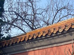 -北京市劳动人民文化宫(太庙)