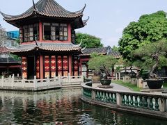 -碧江金楼