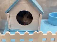 -FAELING PETS美天灵宠物(合生汇店)