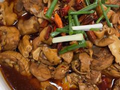 -川大刘肥肠鸡(北国店)