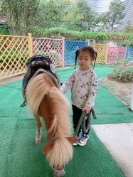 -萌宠亲子动物乐园(槐房万达店)