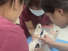 -美联众合爱康动物医院•复杂内科•肿瘤科•牙科•腔镜诊疗中心